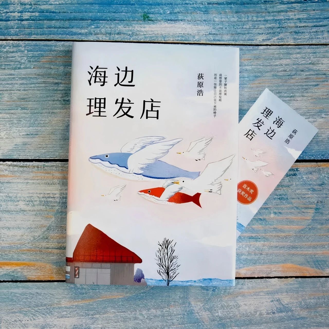 微信图片_20250519091027 微信图片_20250519091027