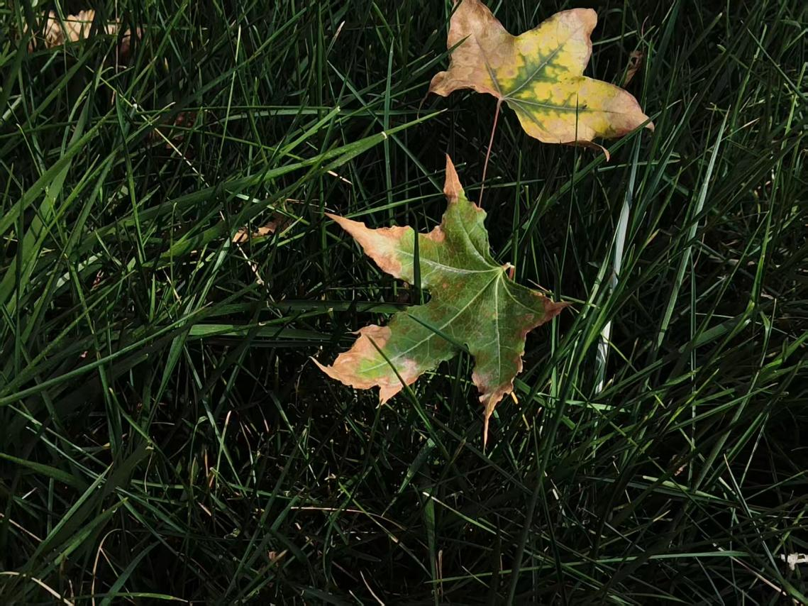 微信图片_2025-10-10_092731_559 微信图片_2025-10-10_092731_559